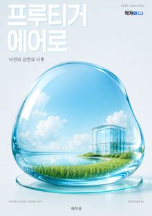프루티거 에어로
