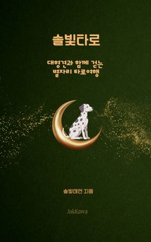 솔빛타로