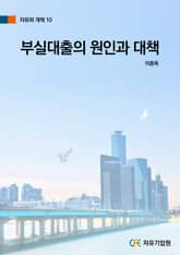 부실대출의 원인과 대책 표지 이미지