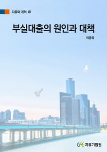 부실대출의 원인과 대책