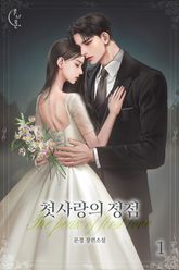 첫사랑의 정점 표지 이미지