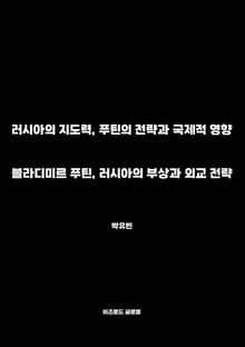블라디미르 푸틴, 러시아의 부상과 외교 전략