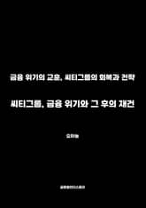 씨티그룹, 금융 위기와 그 후의 재건 표지 이미지