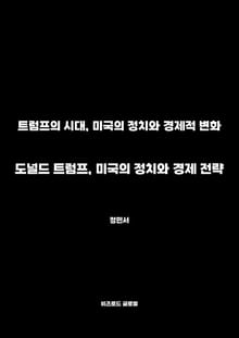 도널드 트럼프, 미국의 정치와 경제 전략