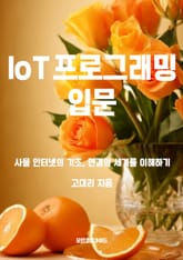 IoT 프로그래밍 입문 표지 이미지