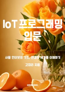 IoT 프로그래밍 입문