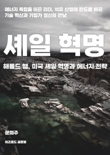 해롤드 햄, 미국 셰일 혁명과 에너지 전략