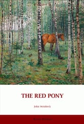 THE RED PONY 표지 이미지