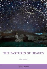 THE PASTURES OF HEAVEN 표지 이미지