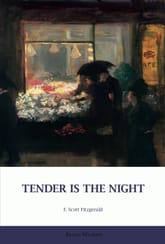 TENDER IS THE NIGHT 표지 이미지