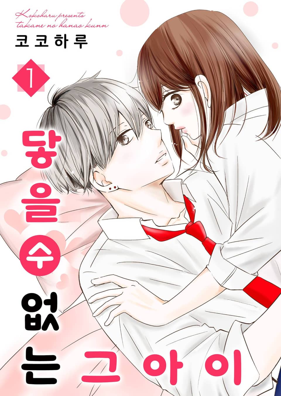 닿을 수 없는 그 아이 1권