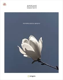 로마서.쓰다 (성경필사)