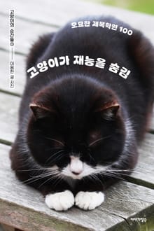 고양이가 재능을 숨김