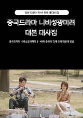 중국드라마 니비성광미려 대본 대사집 표지 이미지