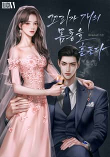 꼬리가 개의 몸통을 흔든다(15세 개정판)