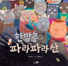 한밤중 파라파라산