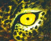 초원의 법칙 표지 이미지