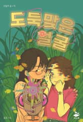 도둑맞은 얼굴 표지 이미지