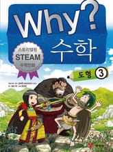 Why? 수학 - 도형 3 표지 이미지