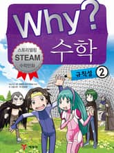 Why? 수학 - 규칙성 2 표지 이미지