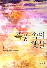 폭풍 속의 햇살 표지 이미지