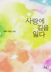 사랑에 길을 잃다 표지 이미지