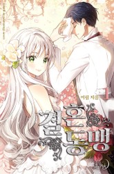 결혼동맹 표지 이미지