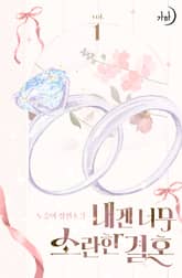 내겐 너무 소란한 결혼 표지 이미지