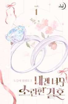 내겐 너무 소란한 결혼