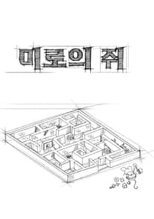 미로의 쥐