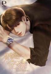 끝없는 순정 표지 이미지