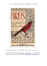 칼라로 보는 새들 (Birds Illustrated by Color Photograph, by Various) 표지 이미지
