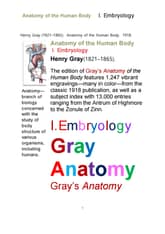 그레이아나토미 해부학 중에서 제1권 발생학.Gray’s Anatomy,Anatomy of the Human Body, I. Embryology.b 표지 이미지