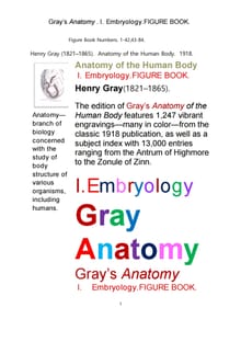 그레이아나토미 해부학의 제1권 발생학의 도해 그림책.Gray’s Anatomy,I. Embryology.FIGURE BOOK.by Henr