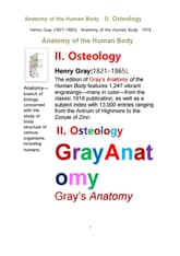 그레이 아나토미의, 제2권 골학 骨學 골해부학.Gray’s Anatomy, II. Osteology. by Henry Gray 표지 이미지