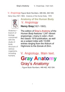 그레이아나토미 해부학의 제5권 혈관학.Gray’s Anatomy,V. Angiology .main text.by Henry Gray.