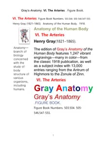 그레이아나토미 해부학의 제6권 동맥 의 도해 그림책.Gray’s Anatomy. VI. The Arteries . Figure Book.by Henry Gray