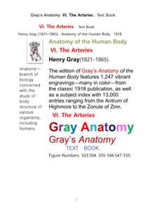 그레이아나토미 해부학의 제6권 동맥 책.Gray’s Anatomy. VI. The Arteries . Text Book.by Henry Gray.