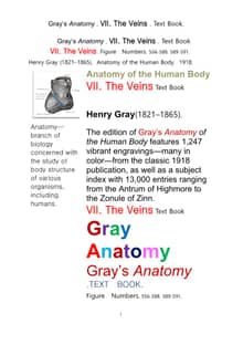 그레이아나토미 해부학의 제7권 정맥 책Gray’s Anatomy . VII. The Veins . Text Book.by Henry Gray.