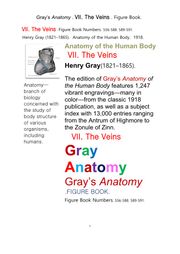 그레이아나토미 해부학의 제7권 정맥 의 도해 그림책.Gray’s Anatomy . VII. The Veins . Figure Book.by Henry Gray
