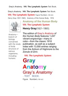 그레이아나토미 해부학의 제8권 림프계 책Gray’s Anatomy . VIII. The Lymphatic System Text Book. by Henry Gray