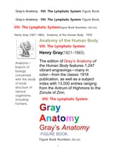 그레이아나토미 해부학의 제8권 림프계 의 도해 그림책.Gray’s Anatomy . VIII. The Lymphatic System Figure Book.by Henry Gray 표지 이미지