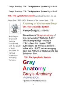 그레이아나토미 해부학의 제8권 림프계 의 도해 그림책.Gray’s Anatomy . VIII. The Lymphatic System Figure Book.by Henry Gray