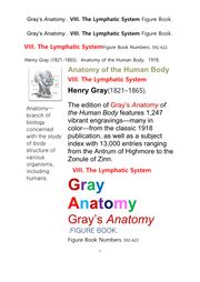 그레이아나토미 해부학의 제8권 림프계 의 도해 그림책.Gray’s Anatomy . VIII. The Lymphatic System Figure Book.by Henry Gray