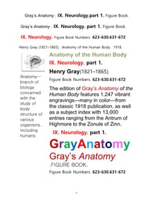 그레이아나토미 해부학의 제9권 1부 신경해부학,신경학. 도해 그림책.Gray’s Anatomy . IX. Neurology.part 1. Figure Book.by Henry Gray