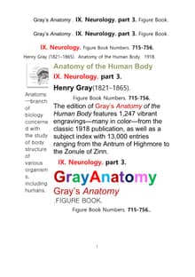 그레이아나토미 해부학의 제9권 3부 신경해부학,신경학. 도해 그림책.Gray’s Anatomy . IX. Neurology. part 3. Figure Book ,by Henry Gray