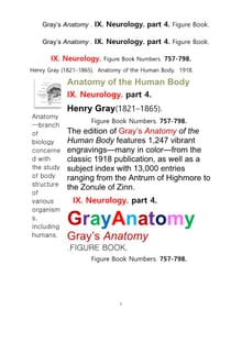 그레이아나토미 해부학의 제9권 4부 신경해부학,신경학. 도해 그림책.Gray’s Anatomy . IX. Neurology. part 4. Figure Book ,by Henry Gray