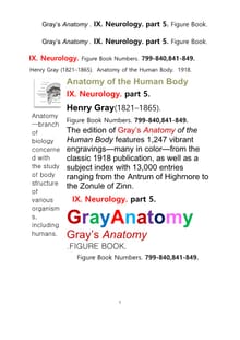 그레이아나토미 해부학의 제9권 5부 신경해부학,신경학. 도해 그림책.Gray’s Anatomy . IX. Neurology. part 5. Figure Book ,by Henry Gray