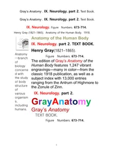 그레이아나토미 해부학의 제9권 2부 신경해부학,신경학. 텍스트책. Gray’s Anatomy . IX. Neurology. part 2. Text Book.by Henry Gray