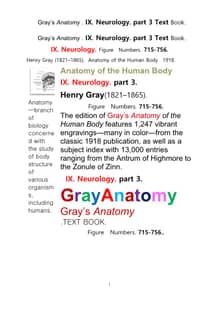 그레이아나토미 해부학의 제9권 3부 신경해부학,신경학. 텍스트 책.Gray’s Anatomy . IX. Neurology. part 3. Text Book ,by Henry Gray